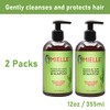 Mielle Rosemary Mint Collection Champú (paquete de 2)