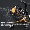 Gomexus Line Roller, 22, Exigist, 23 Aerity, Titanium Daiwa Spinning