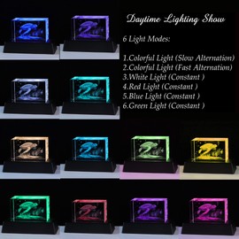 Qianwei 3D Crystals sea Turtle Decor Gifts for Women, Turtle Figurines Stuff Gifts for Turtle Lovers sea Turtle Statue Paperweight Birthday for Best Friend, Keepsake&Paperweight