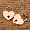 Heart Shaped Padlock with Skeleton Key, 2 Sets, Metal Lock