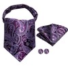 Hi-Tie Silk Ascot for Men Self Tie Men's Cravat and