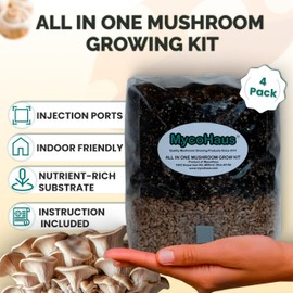 MycoHaus Mushroom All in One Growing Kit with Injection Ports | Indoor Grow Bags for Mushrooms | Home Cultivation Supplies | Without Spores | 4 Pack