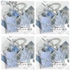 UOPR Transparent Acrylic Pass Case, Commuter Card Case, Coil Chain,