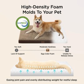 Bedsure Dog Beds Large Sized Dog- Orthopedic Pet Beds with Removable Machine Washable Cover, Egg Crate Foam Puppy Pad, Suitable for Pet Up to 50 lbs, 35"x22"