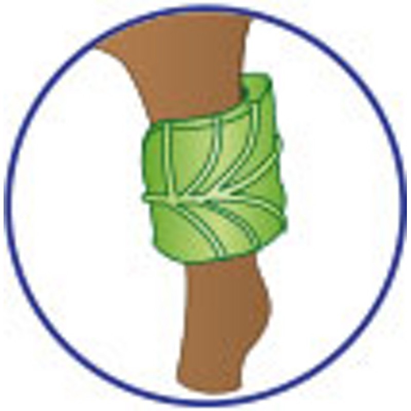 Playmobil 5447 Healing Fairy Elixia in Animal Forest