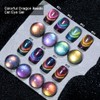 Elotraf 9D Chameleon Holographic Cat Gel Nail Polish with Double