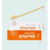 RiseWell Mineral Toothpaste, Japanese Style, Natural Toothpaste (2 Pack)