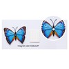 Lohill Pack of 36 3D Butterfly Wall Decoration - Butterfly