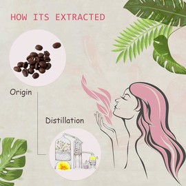 2-Pack Coffee Essential Oil - 100% Pure Organic Natural Plant (Coffea Arabica) Coffee Oil for Diffuser, Aroma, Spa, Massage, Yoga, Perfume, 2x10ML