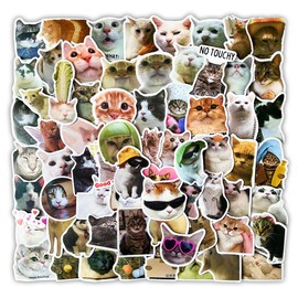 100pcs Funny Cat Stickers, Cute Cat Meme Sticker Pack for Laptops,Phone,Bumper,Skateboard,Water Bottles,Bike,Guitar, Kids Teens Adults Kawaii Animal Decals