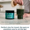 Ancient Nutrition SuperGreens Powder with Probiotics, Organic Berry Flavor Greens,