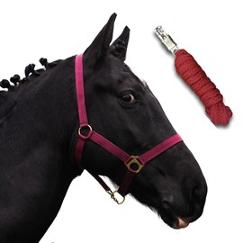 Halter for Horses with Knit, Lead Rope Horse with Halter, Halter Shetty, Pony, Thoroughbred, Full, X-Full with Knit (Bordeaux, Pony)