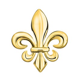 Fleur de Lys Pins | Classic and Elegant Flower Brooch | Gold France Pin | Pins for Women Costume | Luxury French Wedding Shirt Accessories, mm, Stainless Steel, None