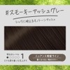 Liese Bubble Color Smoky Ash Gray Hair Color for Black
