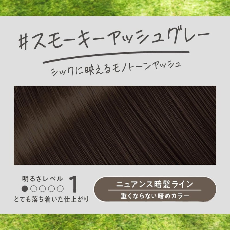 Liese Bubble Color Smoky Ash Gray Hair Color for Black