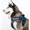 Dogline ESA Vest Patches – Removable ESA Patch 2-Pack with