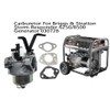 AOKUS Huayi Carburetor Compatible with Briggs & Stratton Storm Responder