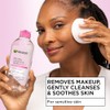 Garnier SkinActive Micellar Cleansing Water, For All Skin Types, (Pack