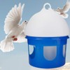 Automatic Pigeon Water Dispenser, Large Capacity Rotatable Pigeon Feeder Pigeon