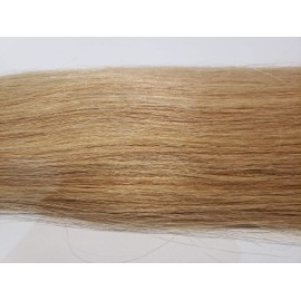 GLAVIS Extensions: Platinum Remy Hair P67cm About 100g: 405