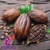 Alebrixes Granos De Cacao Crudo Mexicano 114 G