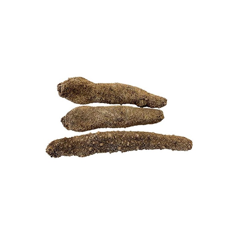 Alaska Wild Caught Sun Dried Red Sea Cucumber Extra Large