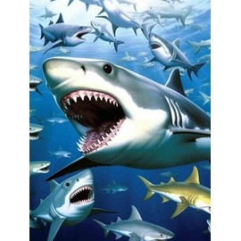 Bimkole 5D Diamond Painting Kits Big Shark, Full Drill Animals DIY Rhinestone Embroidery Set Paint with Diamonds Art by Number Kits Cross Stitch Home Wall Craft Decoration 12X16 inch