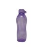 Tupperware to Go Eco 1.0 Litre Screw Cap EcoEasy Drinking