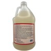 Nickel-Safe Ice Machine Cleaner - 1 Gallon