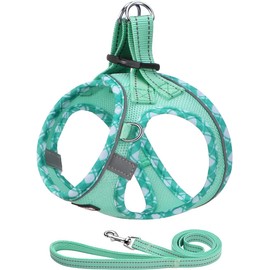AMTOR Small Dog Harness with Leash Set, No Escape Easy Walk Puppy Harnesses for Training Walking, Step-in Reflective Soft Dogs Vest for XS S Medium Extra-Small Large Sized Dog (S,Light Green)