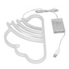 Neon Light High Brightness Battery Operated USB Powered Decorative LED