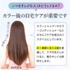 Kyogoku Kyogoku Silver Color Foam Conditioner