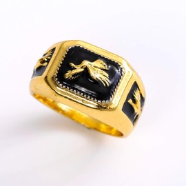 MayiaHey Eagle Ring, Nordic Viking Eagle Bird Ring for Men, Flying Eagle Ring Falcon Eagle Jewellery, Celtic Eagle Ring, Hip Hop Gold Eagle Band Ring, Punk Eagle Animal Ring for Boys, NO