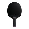 JOOLA Table Tennis Bat White Infinity Carbon - Professional Bat