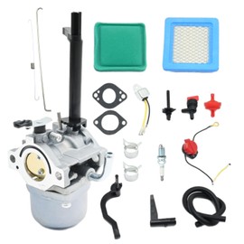 Hoypeyfiy 793778 Carburetor Replacement for Nikki BS Lawnmover 692477 with Gaskets Air Filter Fuel Filter Spark Plug Clamps 698305 598305 697979 695918