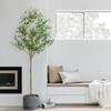 Artificial Olive Tree 6FT, Olive Trees Artificial Indoor with Potted,