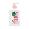 Dettol Antibacterial Hand Wash Skincare 250ml Liquid Soap Hand Wash