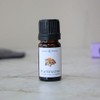 Aroma Theory | Frankincense Essential Oil 5ml - Grounding &