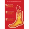 HEAT HOLDERS - Women's Winter Extra Warm Thermal Socks /