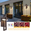 tewei Modern LED Outdoor Wall Sconce Brown Outdoor Lights for