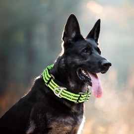 MAOWUWUJOZ Martingale Collar for Dogs -Reflective Nylon No Slip Choke with Padded Comfort Heavy Duty Dog Collar with Quick Release Buckle for Training, Walking & Overexcited Pulling Green L