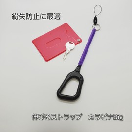 BeyonMind Key Pass Case, Lost Prevention, Elastic Strap, Carabiner Big, Drop Prevention Cord, Stainless Steel, Extra Large Carabiner, Detachable Pine Needle Cord (Made in Japan), clear violet