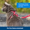 PetSafe Easy Walk CWMK-L-RED-19 Cat Harness with Elastic Bungee Lead