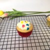 Huaswan Bright Red Foil Cupcake Liners Standard Sized Baking Cups