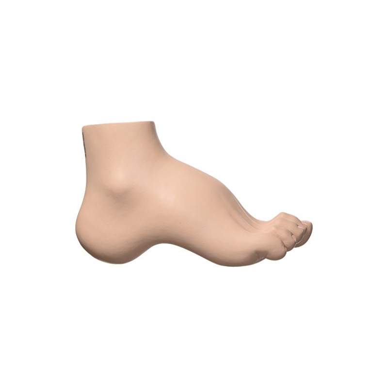 3B Scientific M32 Hollow Foot, Pes Cavus + free Anatomy