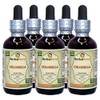 Chlorella (Chlorella Vulgaris) Tincture, Dried Entire Plant Liquid Extract (Brand
