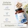 NATURTREU® Fog Light - Motherwort Complex High Dose 1260 mg