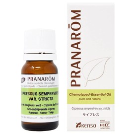 Cypress 0.3 fl oz (10 ml) Pranarom Essential Oil Tree Type Middle Notebook