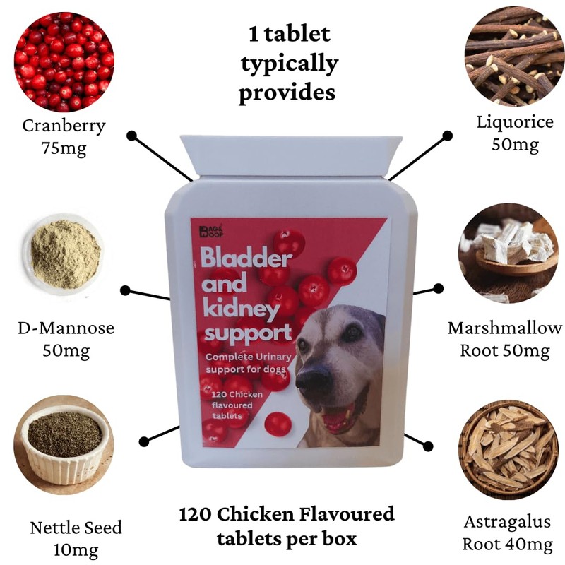 Cranberry Supplement For Dogs | Bladder, Kidney & UTI Support
