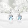 Frog Earrings for Women 925 Sterling Silver Moonstone Dangle Earrings